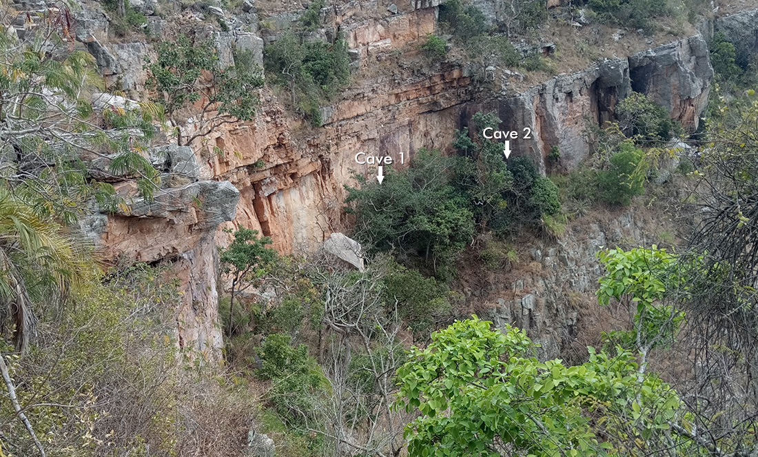 Naamaala Gavi
